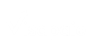 Logo visiapaie blanc